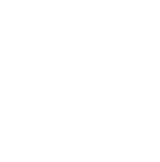 FLA-INTL logo white